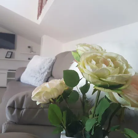 Sara Apartman *